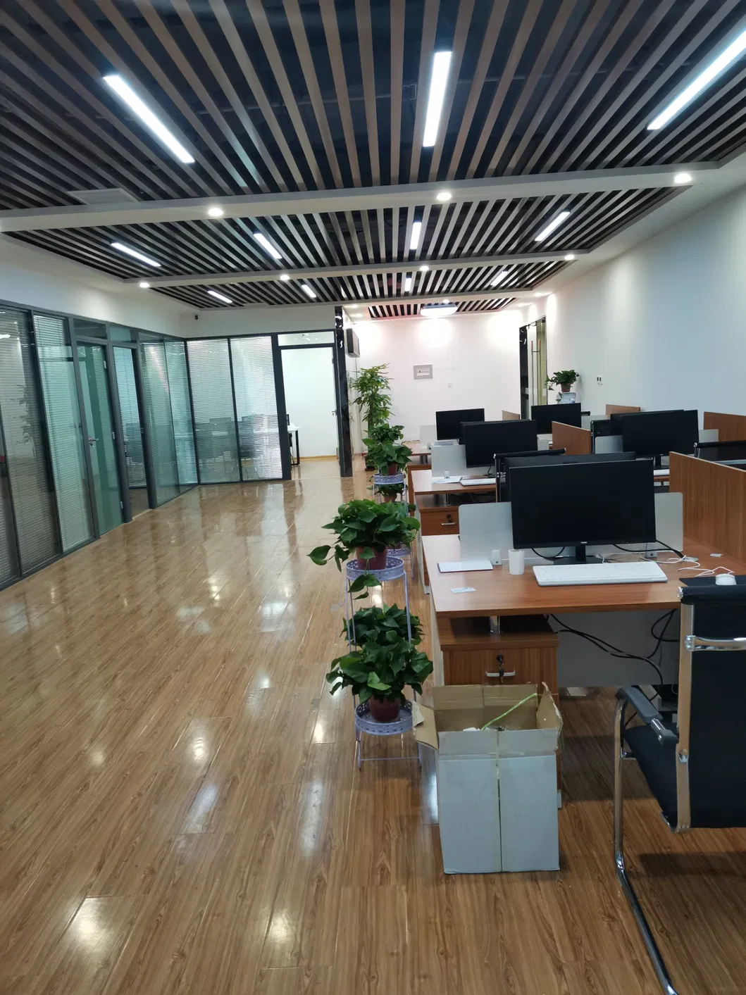 経済的 ホットロール / コールドロール 316 ステンレス スチール コイル 各種 表面処理 0