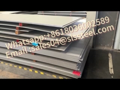 304ステンレスでシャワーを浴びられるか?