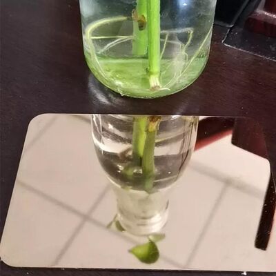 購入 BA 2B 8K HL 表面の壁パンシングのための熱巻き316ステンレス鋼板 オンライン製造